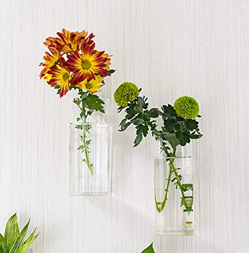 4 Pack Wall Hanging Planters Glass Terrariums - Rectangle Shape Plants Holders Flowers Glass Wall Vase Containers for Plant, Decoration and Display - color: 4 Pack, size: Rectangular (M)