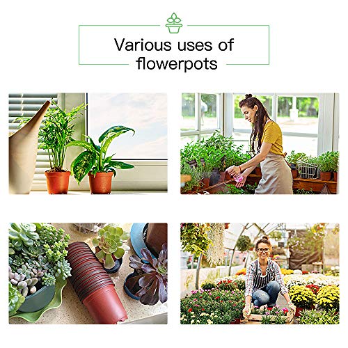 JERIA 200 Pack 6 Inch Plastic Nursery Pots Comewith Drainage Holes, Seedling Flower Plant Container and Seed Starting Pots with 200 Pcs Labels - size: 6 Inch