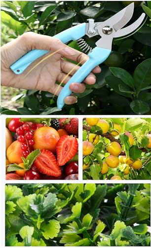 Blue Garden Flower Shears Pruning Shears 6.9 inches Scissors Heavy Duty Plant Scissors for Cutting Flowers, Trimming Plants, Bonsai, Fruits Picking (Blue Handle) - style: Blue Handle
