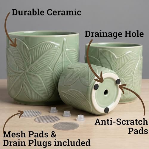 Ceramic Pots for Plants Set of 3, 6, 5, 4 Inch Diameter with Drainage Holes