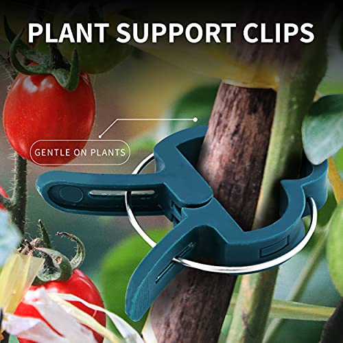 Plant Clips 40 Piece Green Gentle Gardening Plant & Flower Lever Loop Gripper Clips, Tool for Supporting or Straightening Plant Stems, Stalks, and Vines, Garden Clips, by RamPro - size: 40 pc