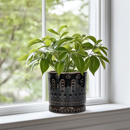 Eightpot Ceramic Plant Pots - 6 Inch Ceramic Planter for Indoor Outdoor, Round Flower Pots with Drainage Hole and Plant Saucer, Boho Decorative Small Planter, House Decor, Gifts for Gardeners, Black - color: Black, size: 6 Inch