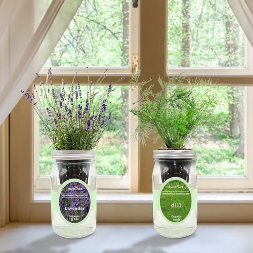 Lavender & Rosemary Mason Jar Herb Garden Kit, Aromatic Herb Duo, 2 Pack Indoor Hydroponic Growing Kit - color: Lavender+Rosemary