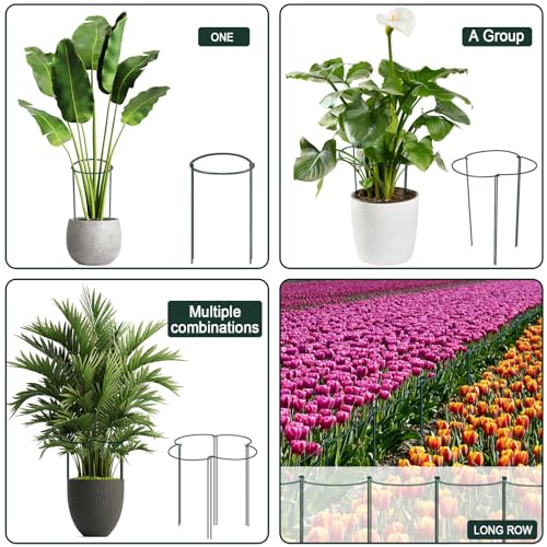12 Pack Plant Support Stakes, Metal Peonies Cages and Supports, Peony Cage, Plant Support Ring, Garden Plant Support for Ourdoor Plants, Rose, Peony,Tomato, Hydrangea Vine Plant 10" W x 16" H - size: 10" Wide x 16" High