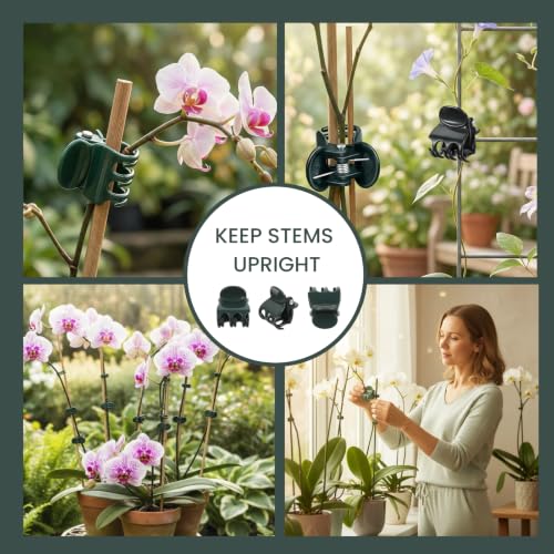 60 Pcs Dual‑Size Orchid Clips, Dark Green Plant Stem Support Clips - size: 60Pcs Mixed Size
