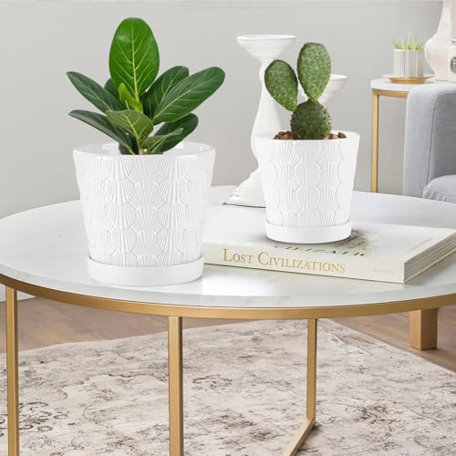 EFISPSS Ceramic Plant Pots, 5+6 Inch Pots for Indoor Plants, Planters with Drainage Holes and Tray, Modern Flower Pots Gardening Home Desktop Office Windowsill Decoration Gift Set of 2 - White - color: White, size: 5+6 Inch
