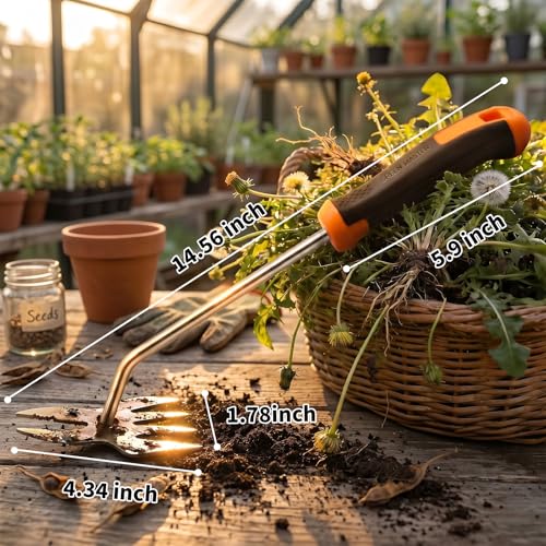 Weed Puller Tool, Heavy Duty Stainless Steel Garden Weed Puller with 4-Tine & Root Removal Fork, Weeding Tool, Deep Root Weed Remover for Dandelion, Crabgrass & Thistle, 2-in-1 Garden Tools (Orange)