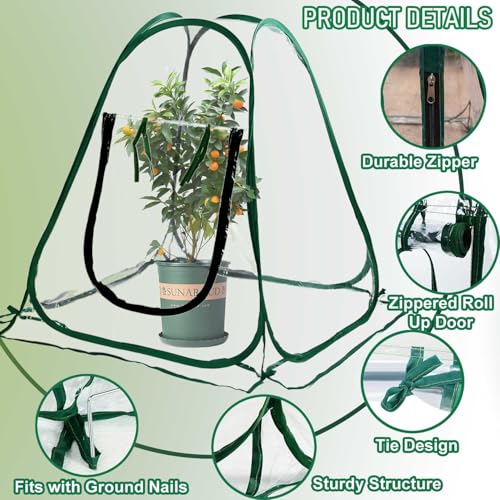 Plant Mini Greenhouse Pop Up Transparent Greenhouse Freeze Protection PVC Plant Cover with Roll-up Zipper Entry Doors for Indoor and Outdoor Gardens Protecting Plant from Cold Frost(PVC, 28x28x32in) - size: 28x28x32in
