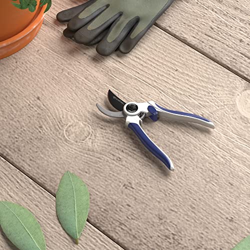 Amazon Basics Professional Bypass Pruning Shears, Lightweight Garden Clippers for Cutting Flowers, Trimming Plants, 7-inch Steel Garden Scissors, Blue - size: 7-Inch