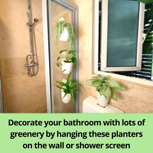 LaLaGreen Wall Planter for Indoor Plants (5in, 10 Pack) White Self-Watering - size: 5" (12.5 cm)