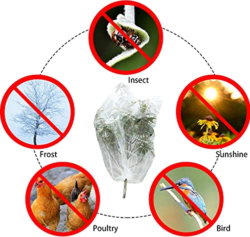 Alpurple 3 PCS Insect Bird Barrier Netting Mesh with Drawstring- 3.2 x 2.6 Feet Fruit Tree Net-Garden Netting Plant Cover for Protect Plant Fruits Flower from Insect Bird Eating - color: 3 Pcs, size: 2.62x3.28 ft