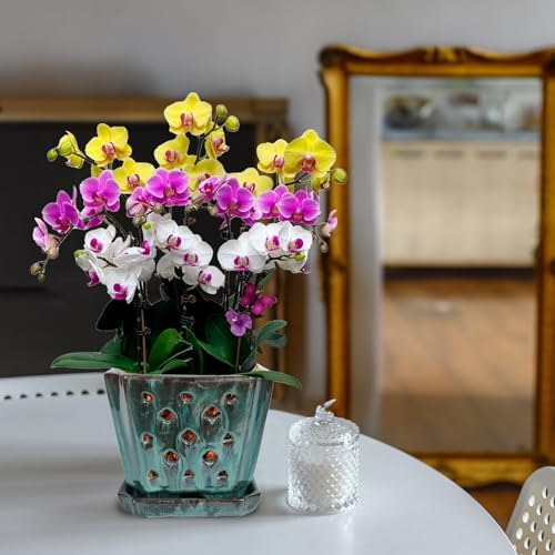W&W Orchid Pot with Holes and Saucer for Repotting, Green Mix, 7" - color: Green Mix