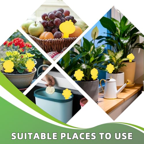 Sticky Yellow Fungus Gnat Traps, Easier to Use, No Touching Glue Or Bugs, Targets Species for Gnat, Fruit Fly & Pests, Three Thoughtful Designed, High Capture Rate, Kid & Pet Safe, 99 Traps - size: 99