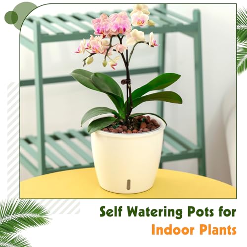 Self Watering Pots for Indoor Plants, 12-Pack 5'' Self Watering Planter with Drainage Holes, Small African Violet Pots with Water Level Indicator, Clear Wick Pot, White/Black - color: White/Black 12 Pack, size: 5"