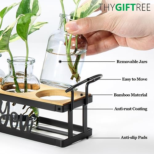 Plant Propagation Station Rooting for You Hydroponic Planter Vase - color: Black – 5 Tray Letter