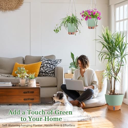 Hanging Planter for Indoor Plants 8 Inch, 2 Pack, Self Watering - color: Green, size: 8 inch