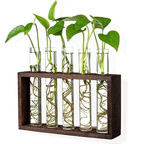 Wall Mounted Hanging Glass Test Tube Planter Propagation Station Glass Vase Rack with Wood Stand, Plant Terrarium Holder for Hydroponics Succulent Air Bamboo Plants with Test Tube