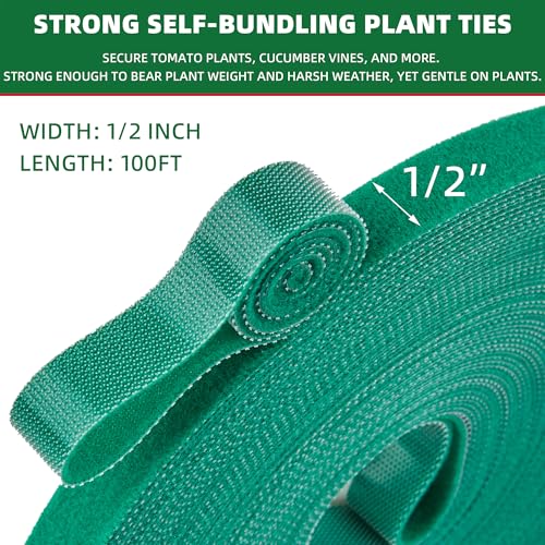 100 ft x 1/2 inch Reusable Plant Ties Roll for Indoor & Outdoor Plants, Non-Toxic Soft Garden Ties, Cut-to-Length Nylon Ties, Gentle Support for Climbing Plants, Tomato Peppers & Vines, Green - color: 100ft-plant Ties