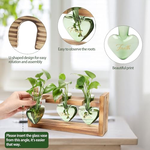 Plant Terrarium Propagation Stations Hydroponics - color: Green(Faith Hope Love)