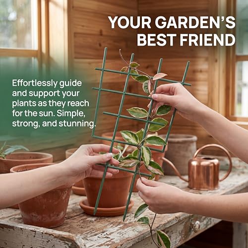 DOITOOL 12 Inch Small Plant Trellis for Potted Plants, 5-Pack