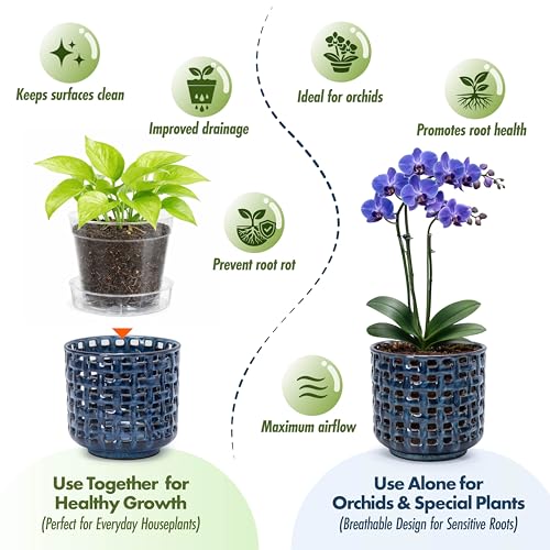 D'vine Dev Orchid Pot, Clear Pot & Saucer, Midnight Blue, 6.7 in, 28-A-Y-2 - color: Midnight Blue, size: 6.7"