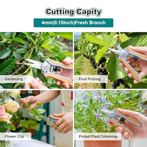 Berry&Bird Mini Pruning Shears for Gardening Straight Blades Hand Pruners with Wooden Handle Garden Scissors Snips Stainless Steel Trimming Small Clippers Bonsai Compact Size Shearing Tool - style: 6'' Straight Blade Scissors