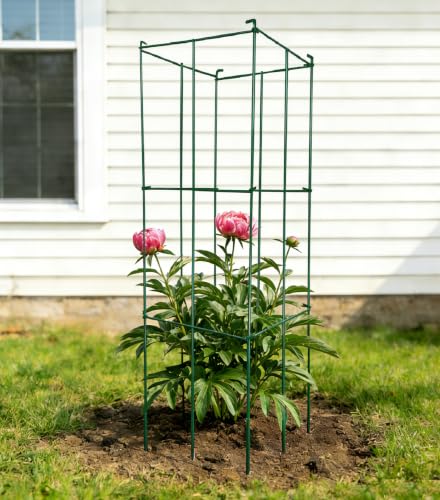 2 Pack 12x39 Inch High Green Folding Square Tomato Cages - size: 39in Sq-Green-2Pack
