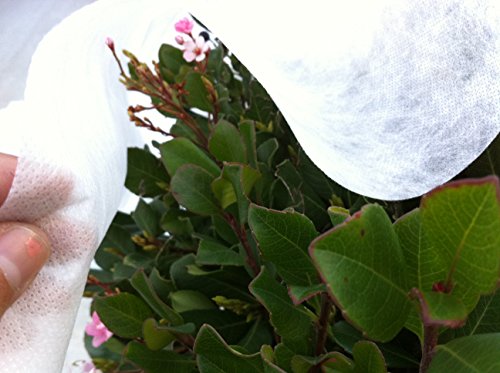 Agfabric Plant Cover Freeze Protection 0.55oz 6'x150' Floating Row Cover for Winter Cold Weather Protection Season Extension,White - color: White, size: 0.55oz-6'*150'