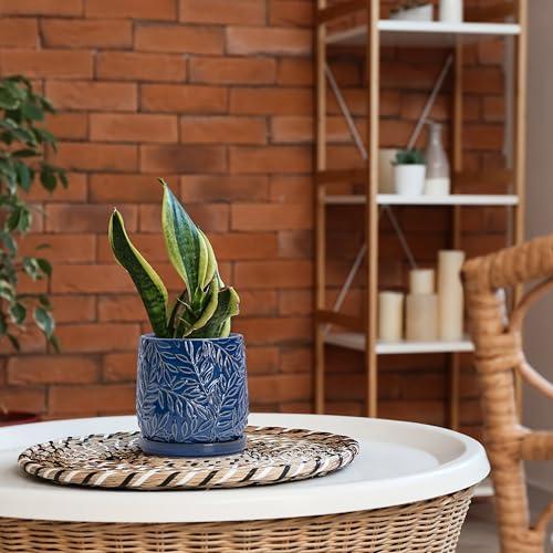D'vine Dev Embossed Leaves Ceramic Planter, 6 in, Midnight Blue, 27-A-X-3 - color: Midnight Blue, size: 6 Inch