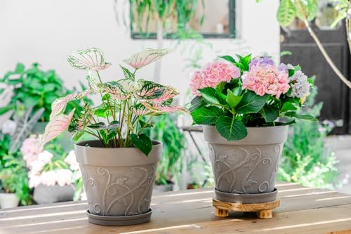 Melphoe Plant Pots Indoor with Drainage & Saucer, 2Pack 10 inch Flower Pots Outdoor Planters for Indoor Plants Garden Home Decor Cactus Succulent, Rigid Plastic (Imitation-Terracotta) Vine-Embossed - color: Cement Grey Color, size: 10 inch