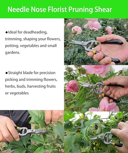 Forged Needle Nose Precision Clippers, Grape Vegetables Flowers Pruning Shear, Ergonomic handle with Soft Grip, Straight Blade Harvesting Scissors 8-Inch (Straight) - style: Straight