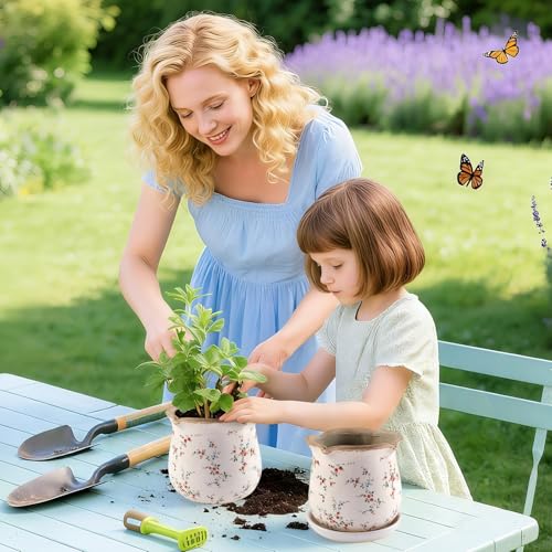 Ceramic-Planters-for-Indoor-Plants with Saucer, 6 inch Vintage Ice Crackle Glaze Plant Pots with Drainage Holes, Decorative Flower Pots for Outdoor Garden Home Decor, Tuscan Pot for Plant - color: Tiny Red
