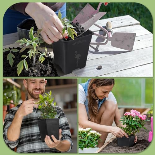 36 Pack 5.5 Inch Square Nursery Pots, Plastic Flower Pots with Drainage, Plant Pots for Plants, Reusable Planting Pots Planter for Seedlings, Transplanting & Indoor Use