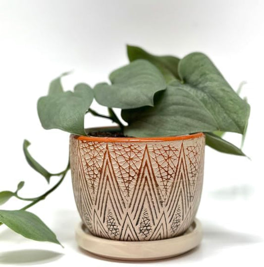 Plant Pots with Drainage 3 Inch Diameter Home Decor Indoor Ceramic Wide Planters with Saucer for Live Plants Outdoor Houseplants for Home Office Wedding Birthday Gift (Desert) - color: Desert