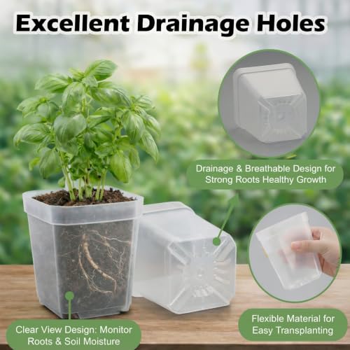 RooTrimmer 120 Packs Square Clear Nursery Pots with Drainage, 2.7 Inch Plastic Seedling Pots for Indoor Plants, Thickened Small Transplant Pot for Seed Starting Succulents Vegetables Lettuce Flowers - color: Clear, size: 2.7" 120P