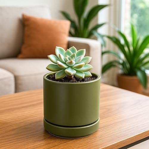 D'vine Dev 2-Pack Ceramic Pots with Saucers, Olive, 4.7 in, 94-V-B-J - color: Olive, size: 4.7 Inch