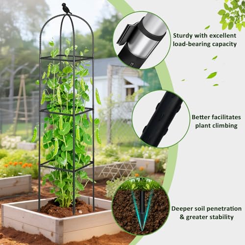 Square Tomato Cages for Garden, 6.2 FT Cucumber Trellis for Flowers, Grape, Pea, Rose, Bean, Rustproof Plastic Coated Metal Plant Support for Potted Plants Indoor Outdoor- 1PC Obelisk Trellis - color: Black (Square)