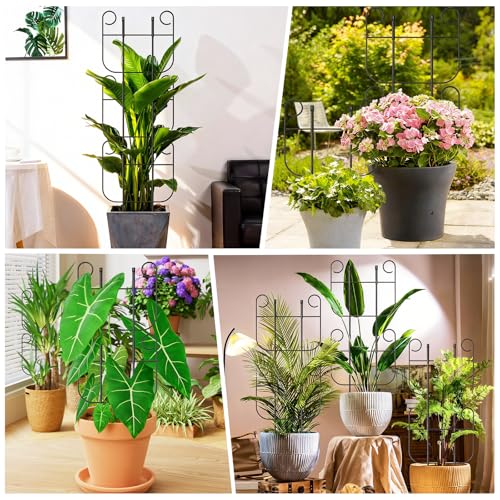 4 Pack Trellis for Climbing Plants Indoor, Expandable Small Metal Trellis for Potted Plants, Flowers Vine Ivy, Sturdy Houseplant Pothos Plant Climber Support - size: 4 Pack-15in(H)x10in(L)