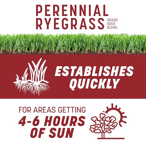 Pennington Smart Seed Perennial Rye Grass Seed Plus Fertilizer, 3 lb