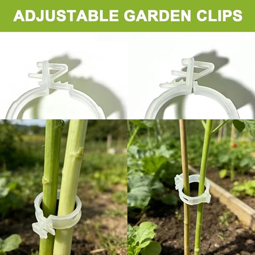 150 Pcs Plant Support Clips, 2026 New Upgraded Adjustable Plastic Clips for Securing Plants, Tomato Vine Clips, Plant Fixing Clips, Garden Clips for Climbing Plants, Grape and Vine Vegetables (White) - color: White