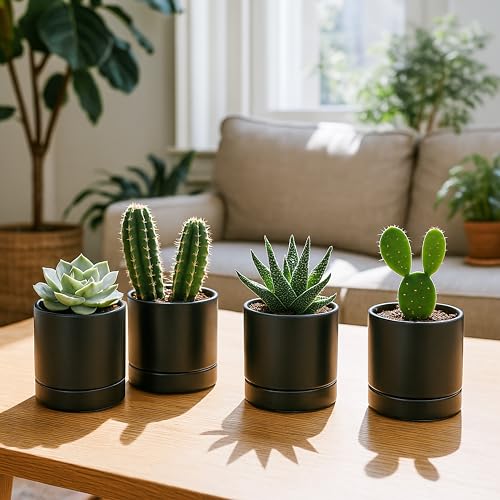 D'vine Dev 4-Pack Ceramic Pots with Saucers, Black, 4.7 in, 94-X-B-2 - color: Black, size: 4.7 Inch