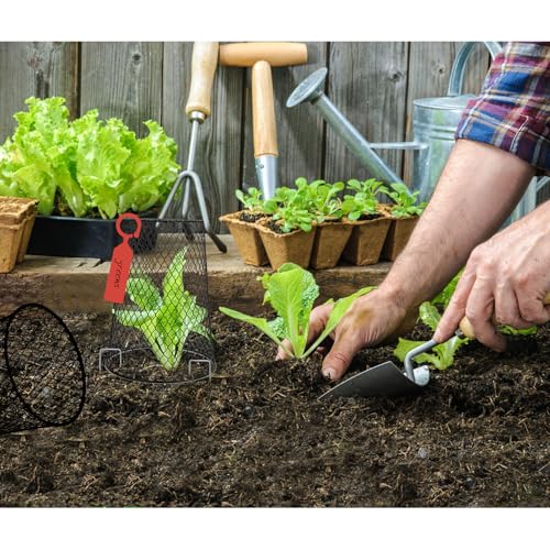 20 Pcs 6.8"×7.4" (Multiple Sizes/Quantities Available) Seedling Plant Protectors from Animals, Chicken Wire Plant Cage Garden Cloche to Protect Plants Vegetables from Rabbits Squirrels Chicken - size: 6.8"×7.4"