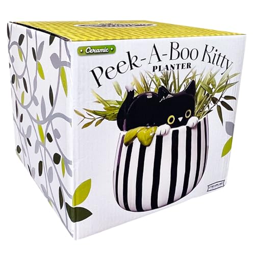 Streamline Imagined Ceramic Planter Pot for Succulent - Peek-A-Boo Kitty - Indoor - 6.75 x 6.75 x 6.75 inches - color: Black
