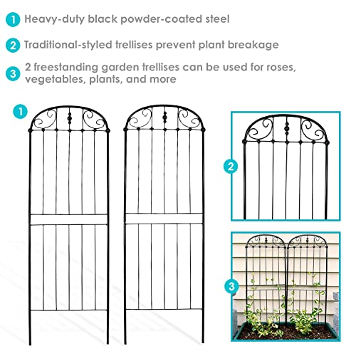 Sunnydaze 32" Black Metal Garden Trellis for Climbing Plants, 2-Pack - style: Elegant Scroll - 32"