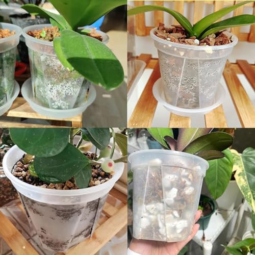 Plant Pots 9.5 inch Set of 3, Nursery Pots with Drainage Holes and Saucers - size: 9.5 inch set of 3