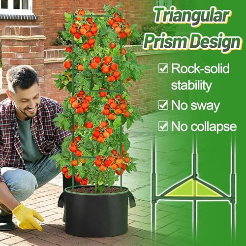 ANPHSIN Sturdy Triangle Tomato Cage with Movable 10 Gal Grow Bags, 3 Sets - style: 10 gallons