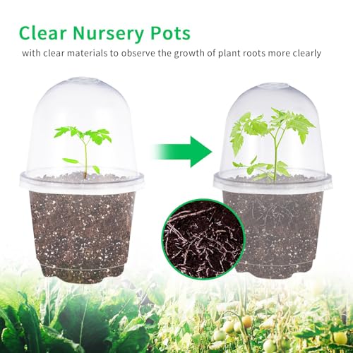 JOPY 30 Pack 4 Inch Plastic Nursery Pots with Humidity Dome for Plants Clear Seed Starter Pots Seedlings Planting Pots for Garden Indoor and Outdoor Small Planter Containers with Drainage Holes - size: 4 inch-30Pcs
