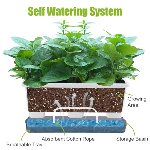 Oliz Window Box Planter 8 Pcs, 17 Inches Rectangle Flower Pots with Drainage Holes & Trays, Vegetable Planters for Windowsill Patio Garden Balcony Home Indoor Outdoor (White, 16 * 7 * 6 inch) - color: White