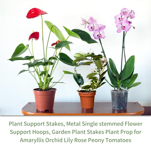 Plant Support Stakes with 100 Plant Clips 65ft Plant Sticks 800 Ties Green - color: Green, size: 65ft