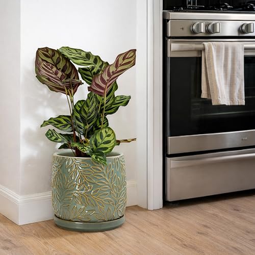 D'vine Dev Embossed Leaves Ceramic Planter, 8 in, Olive, 27-A-Q-0 - color: Olive, size: 8 Inch
